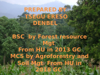 Agrroforestry slide.pptx